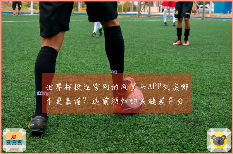世界杯投注官网的网页和APP到底哪个更靠谱？选前须知的关键差异分析