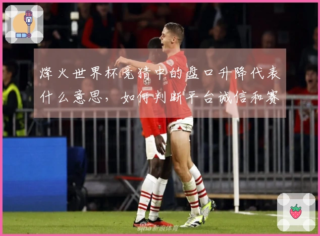 烽火世界杯竞猜中的盘口升降代表什么意思，如何判断平台诚信和赛况变化