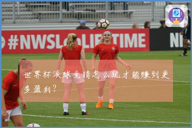 世界杯滚球竞猜怎么玩才能赚到更多盈利？